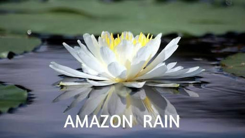 Amazon Rain Bath Salts - Candles Soaps N Gifts