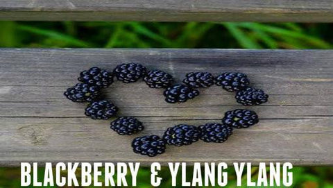 Blackberry & Ylang Ylang Soy Melt - Candles Soaps N Gifts