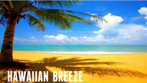 Hawaiian Breeze Soy Melt - Candles Soaps N Gifts