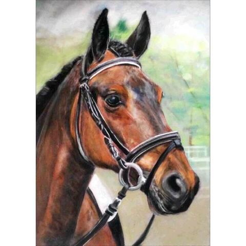 Bridle Boy - Full Round - Diamond Painting