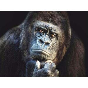 Thinking Ape - Full Round - Diamond Painting