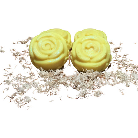 Lemon Mrytle Loofah Soap