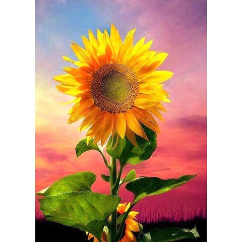 Sunflower - Full Round - Diamond Painting